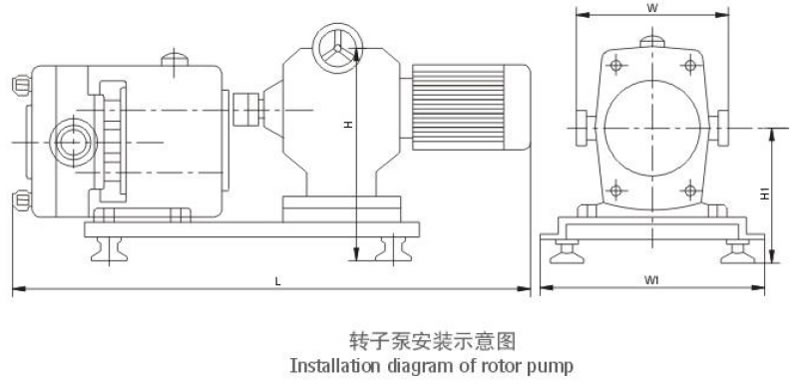 轉(zhuǎn)子泵安裝示意圖