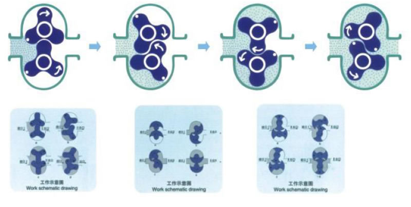 轉(zhuǎn)子泵工作模擬圖